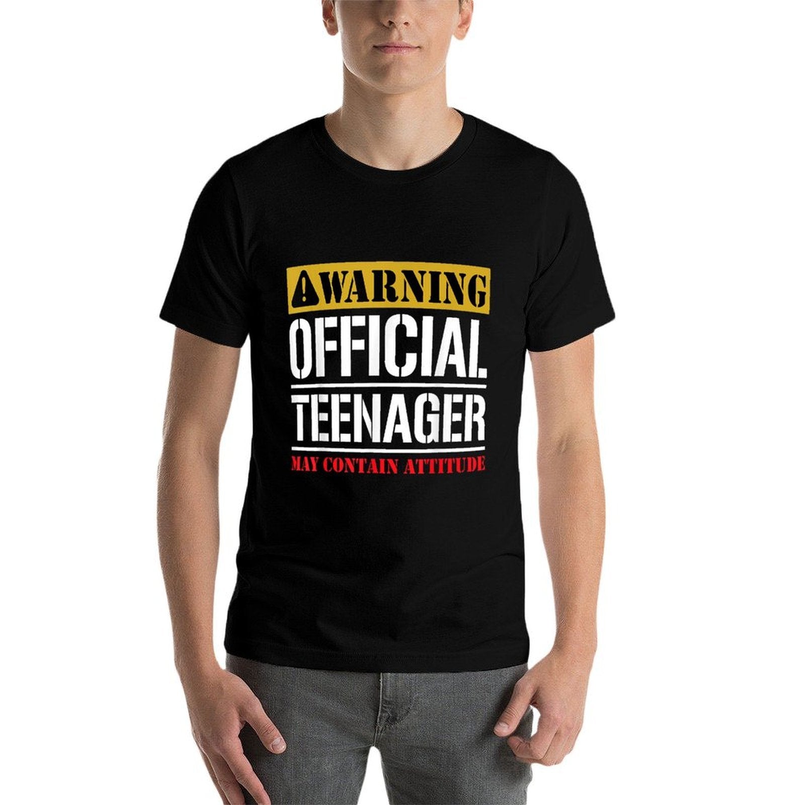 13 Birthday Officialnager Boy 13yr Math 13th Birthday  Rolled Sleeves T-Shirt